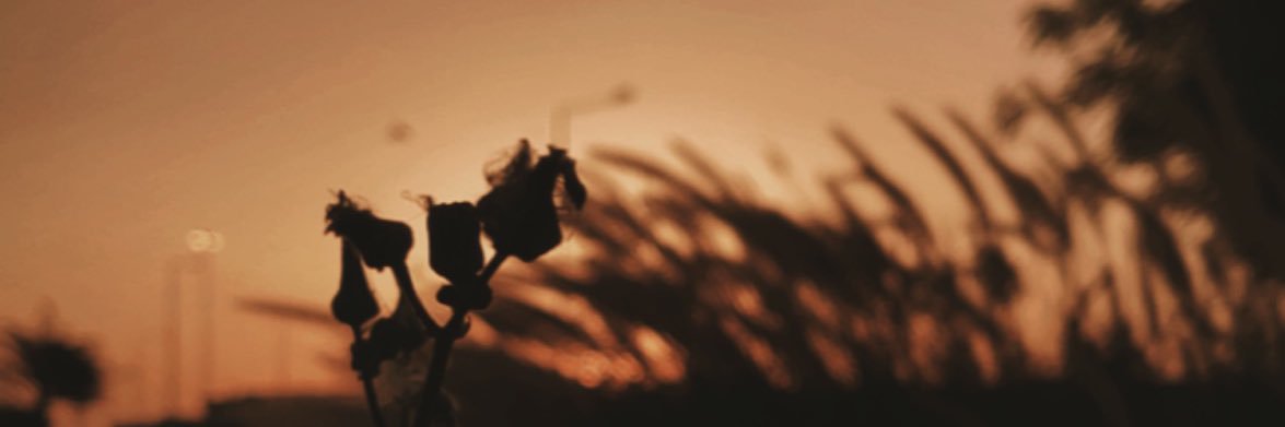 qat78's profile banner image