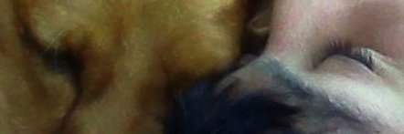 TronekLive's profile banner image