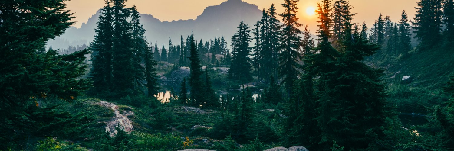 SebastianRavitz's profile banner image