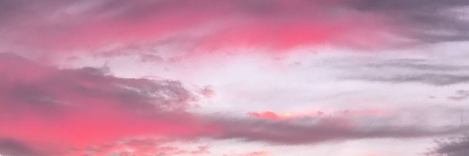 Little_Love_L's profile banner image