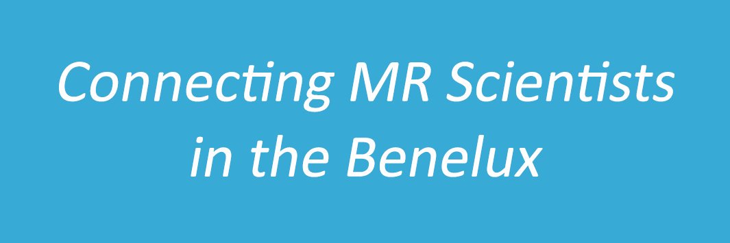 ISMRM Benelux's banner