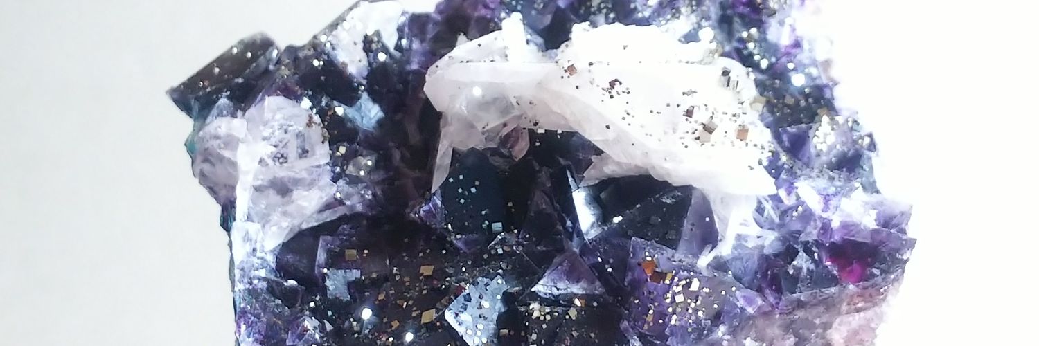 keitaprunus's profile banner image