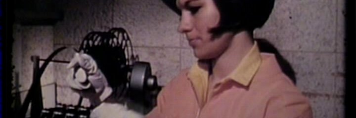 Elizabeth Hansen banner