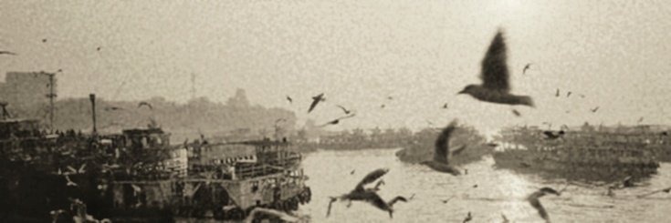 𝖲𝖾𝗋𝖾𝗇𝗇𝖾. banner