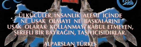 veli incitmez banner