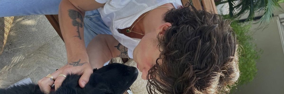 jen ᥫ᭡ banner