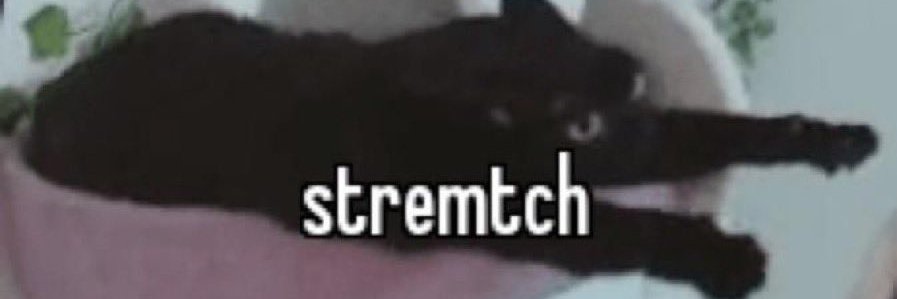 H1ghFreq's profile banner image