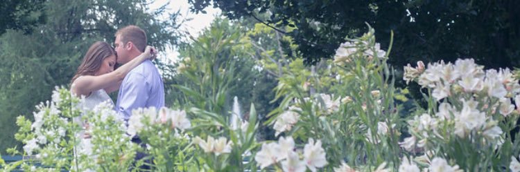 Steph_Groff's profile banner image