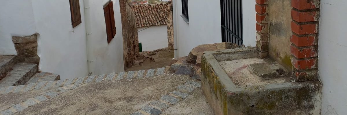 Antonio 🌹🇵🇸 banner