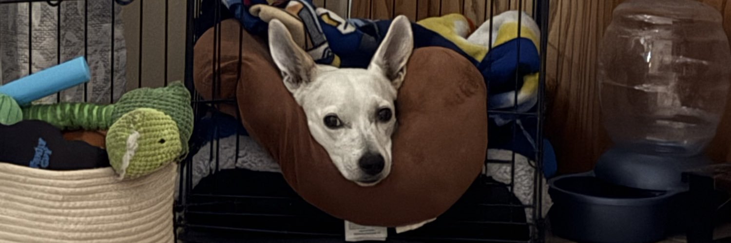 tracymae04's profile banner image