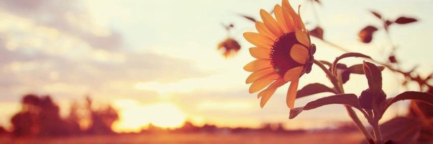 Parimal Patel banner