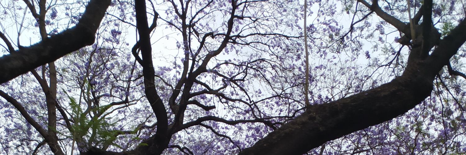 YamiSB99's profile banner image