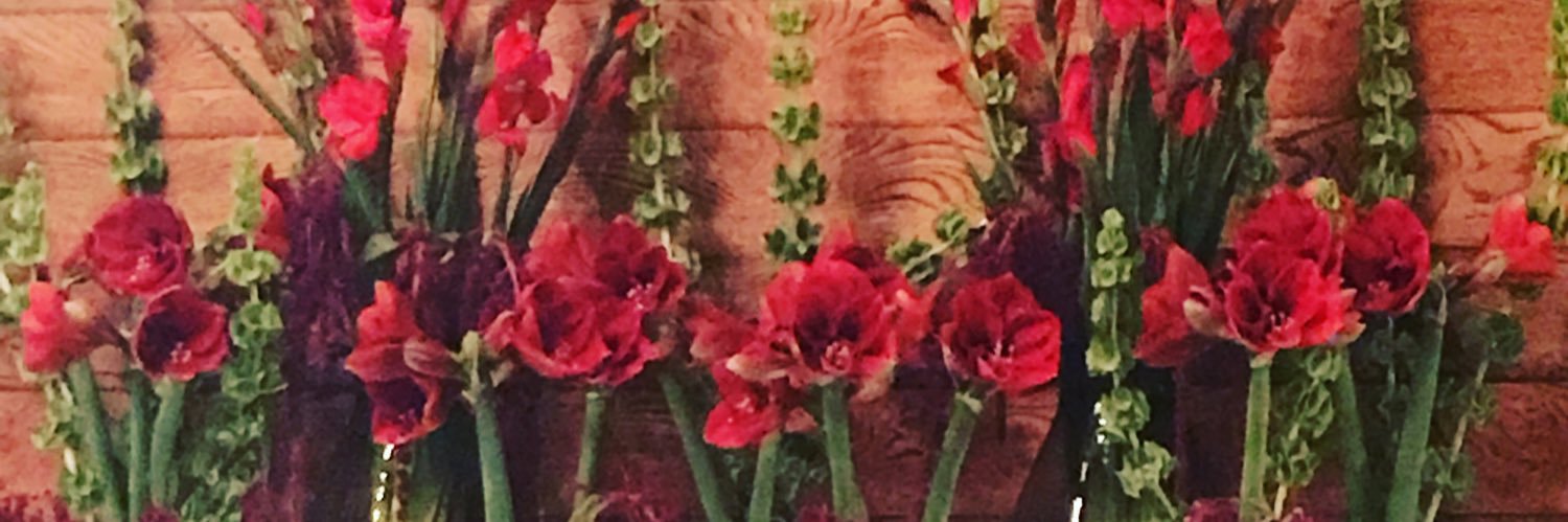 Melanie Ryan Meador banner