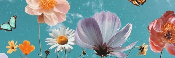 Corzozo's profile banner image