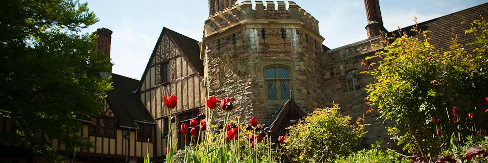 DSFD Conference banner