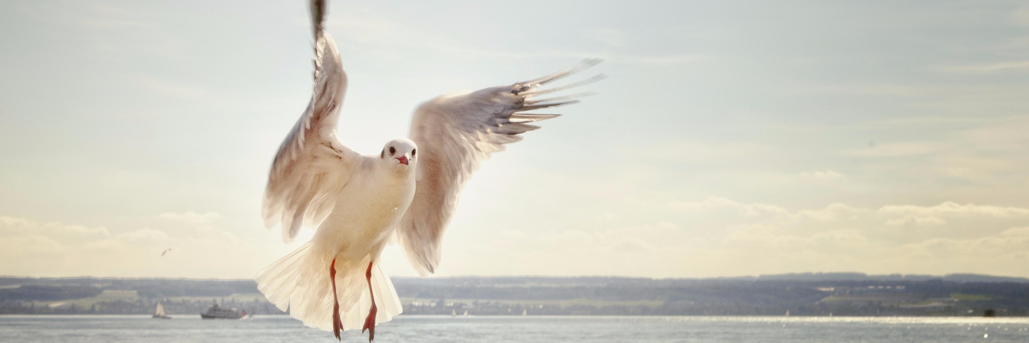 seekalender's profile banner image