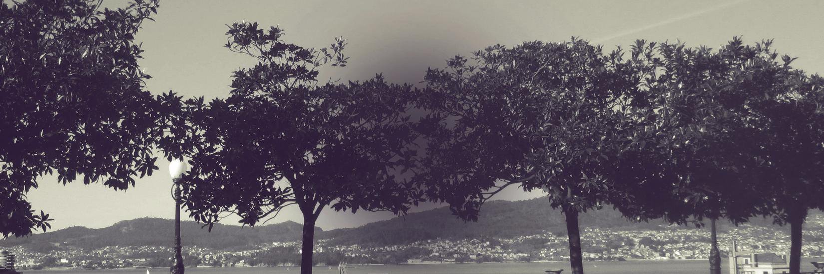 PAAvogados's profile banner image