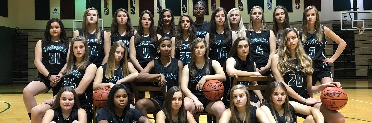 AHSLadyHoops's profile banner image