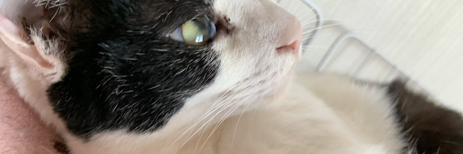 norimeimi's profile banner image