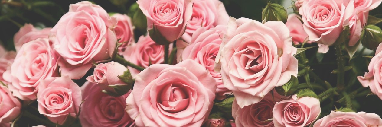 ITAWeddings's profile banner image