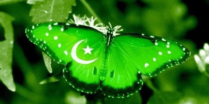 waheed4520's profile banner image