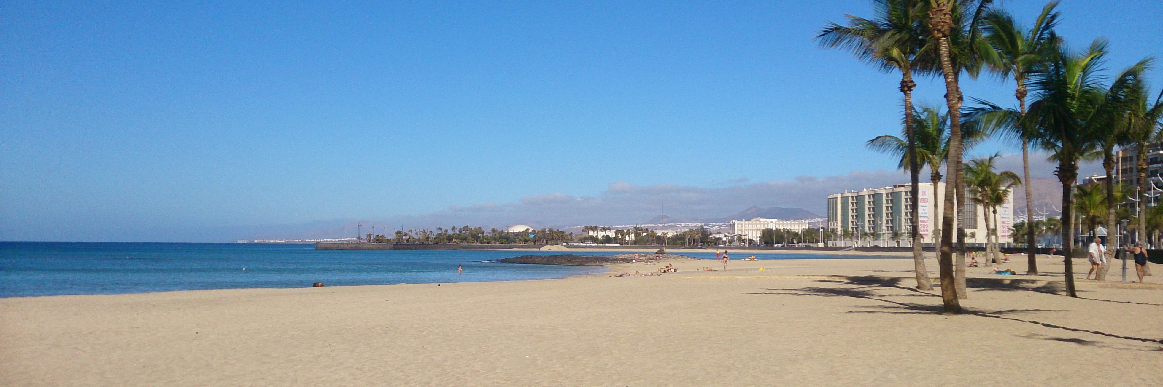 QuestionTourist's profile banner image