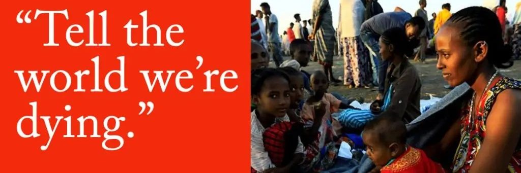 Kaye_Gerima's profile banner image