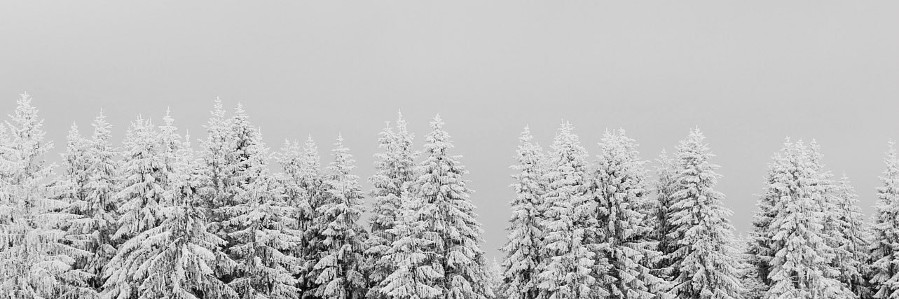 mharvienn's profile banner image