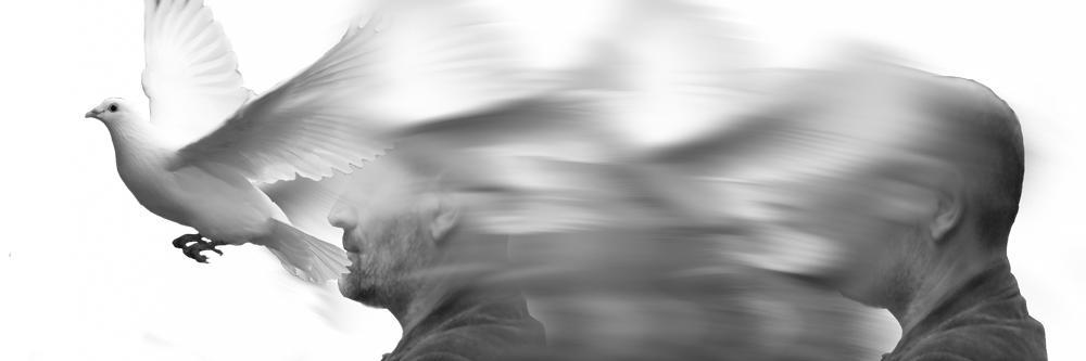 barsancornel's profile banner image