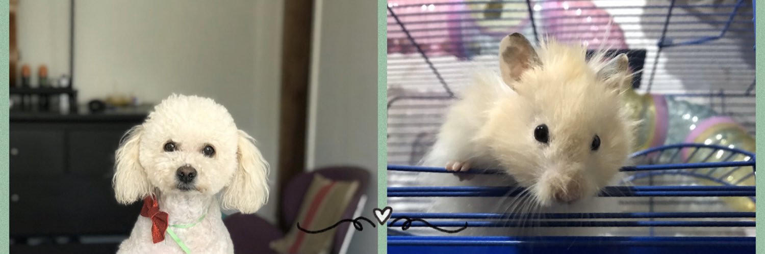 Nicolas Becerra banner