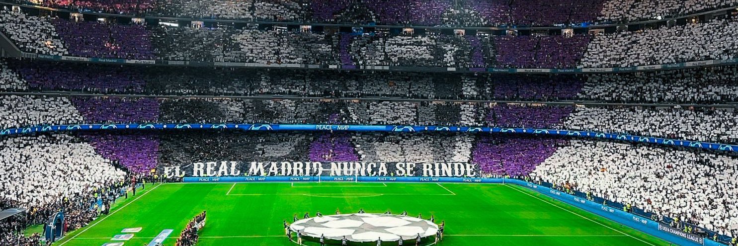Polo Bayardo banner