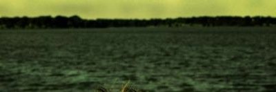 EricGShutt's profile banner image