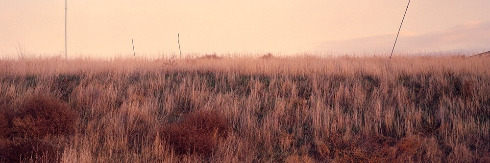 lindellandre's profile banner image