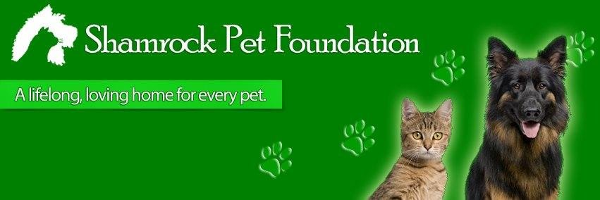 ShamrockFoundation banner