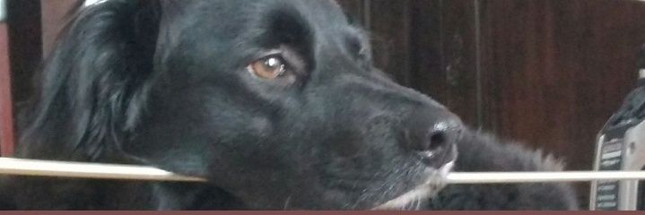 jp11065's profile banner image