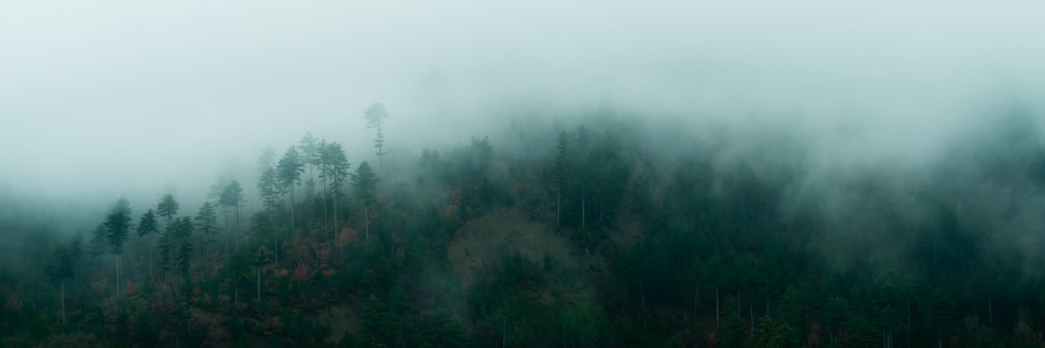 MrDykof's profile banner image