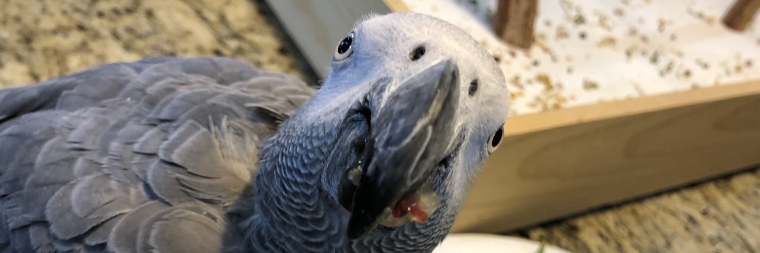 Chublett's profile banner image