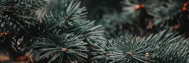preponisvause's profile banner image