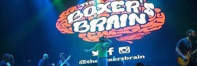 TheBoxersBrain's profile banner image