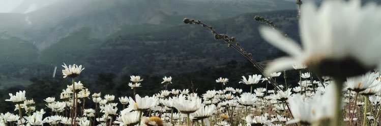 cvincent10's profile banner image