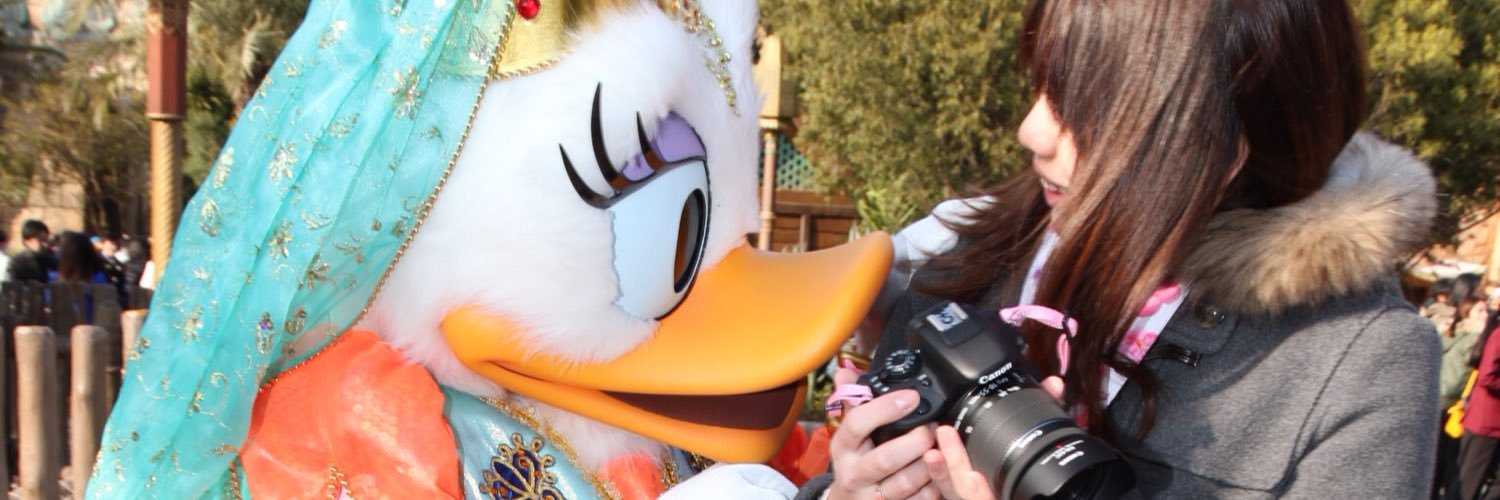 pika_daisy's profile banner image