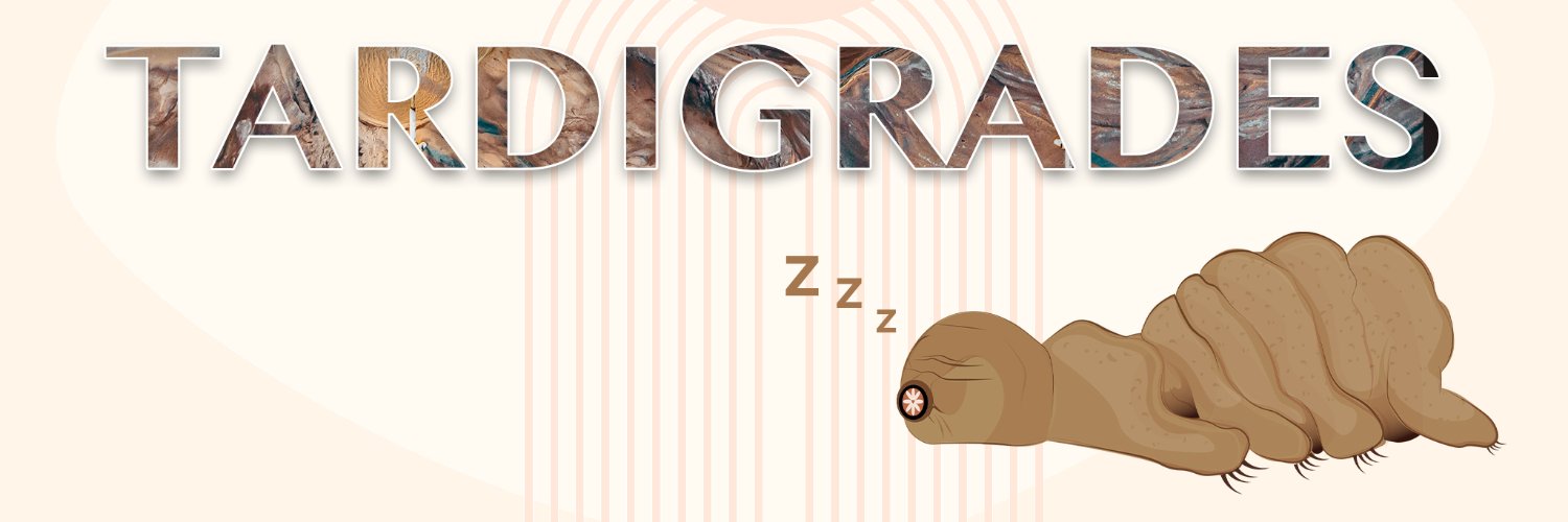 Gabriel Dottl banner