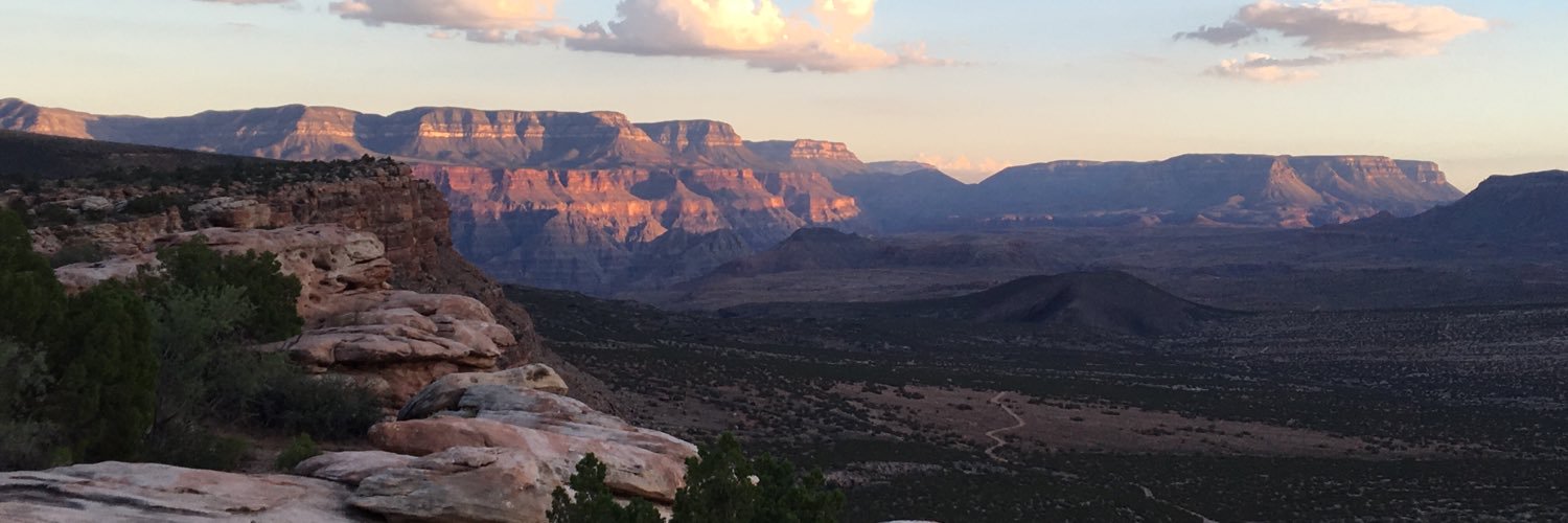 LaurenSchab's profile banner image