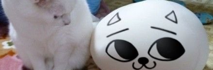 tyumi_'s profile banner image