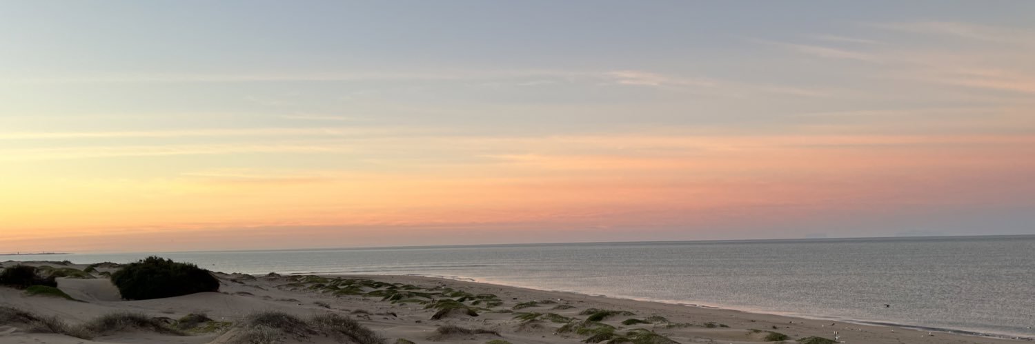 mayradurazog's profile banner image
