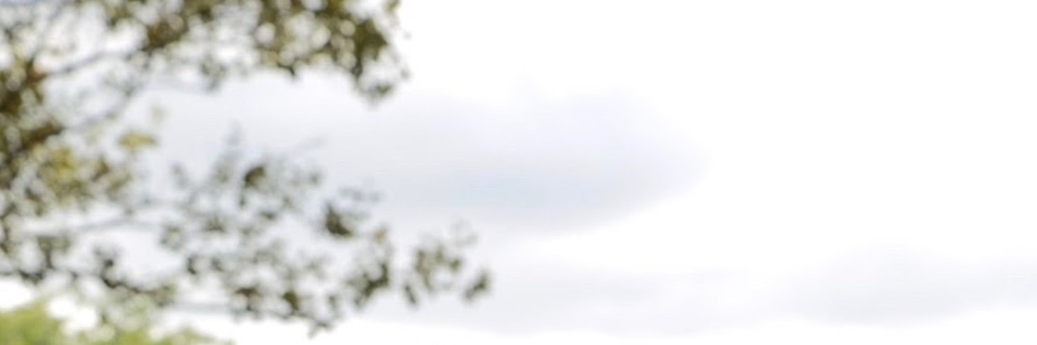 Wil Madden banner