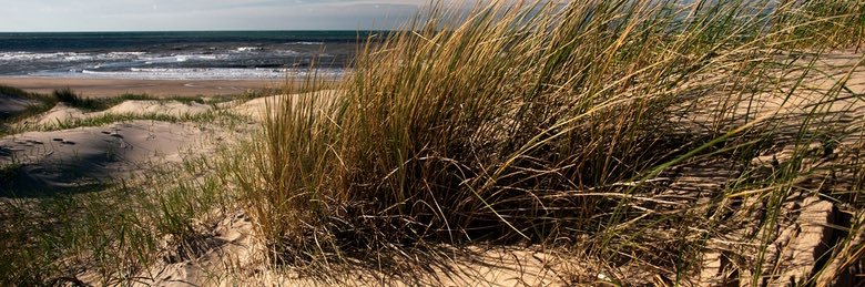 Egbert v.d. Steege banner