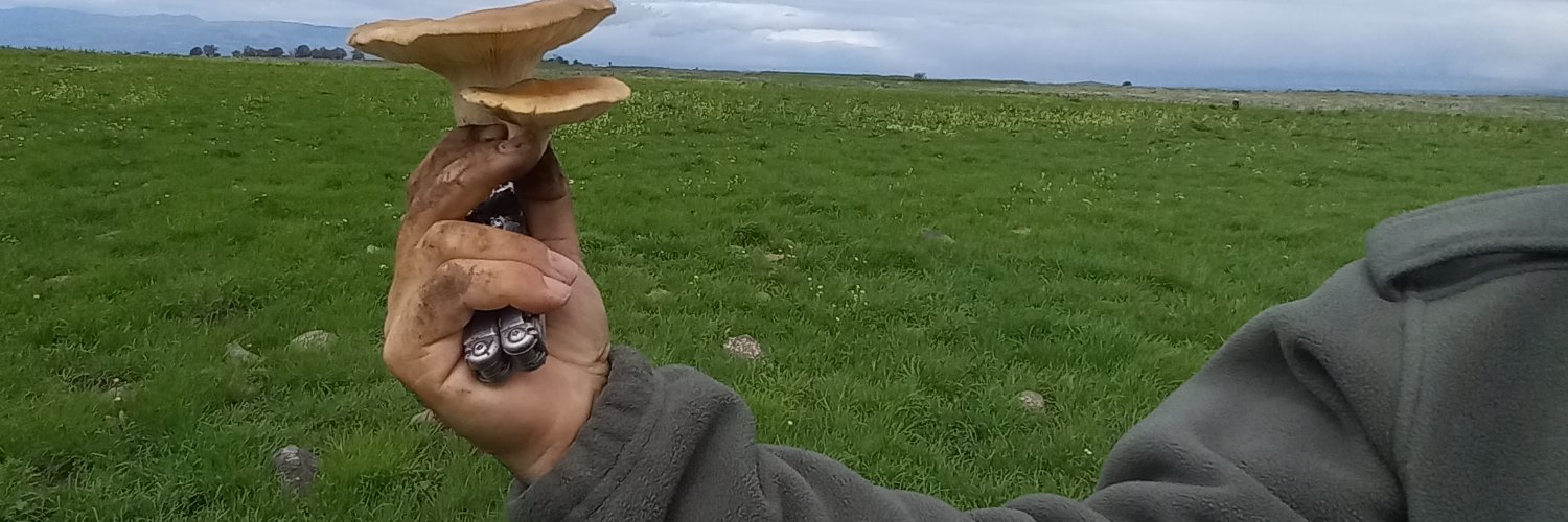 Hillelsoap's profile banner image
