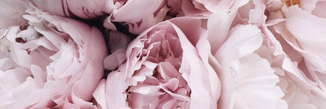 Vika_Milki's profile banner image
