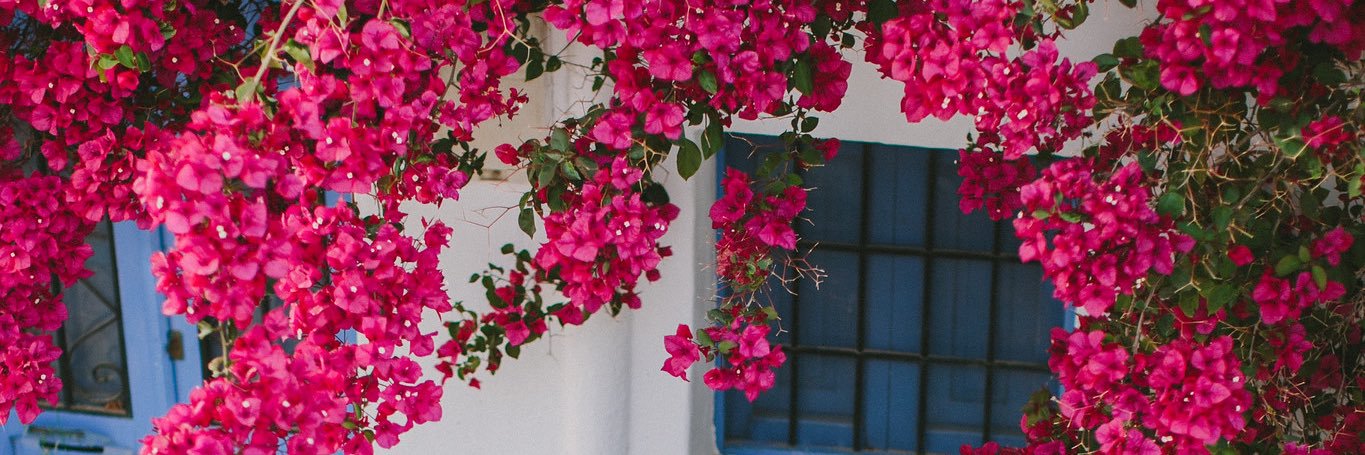 Mar_luquer's profile banner image